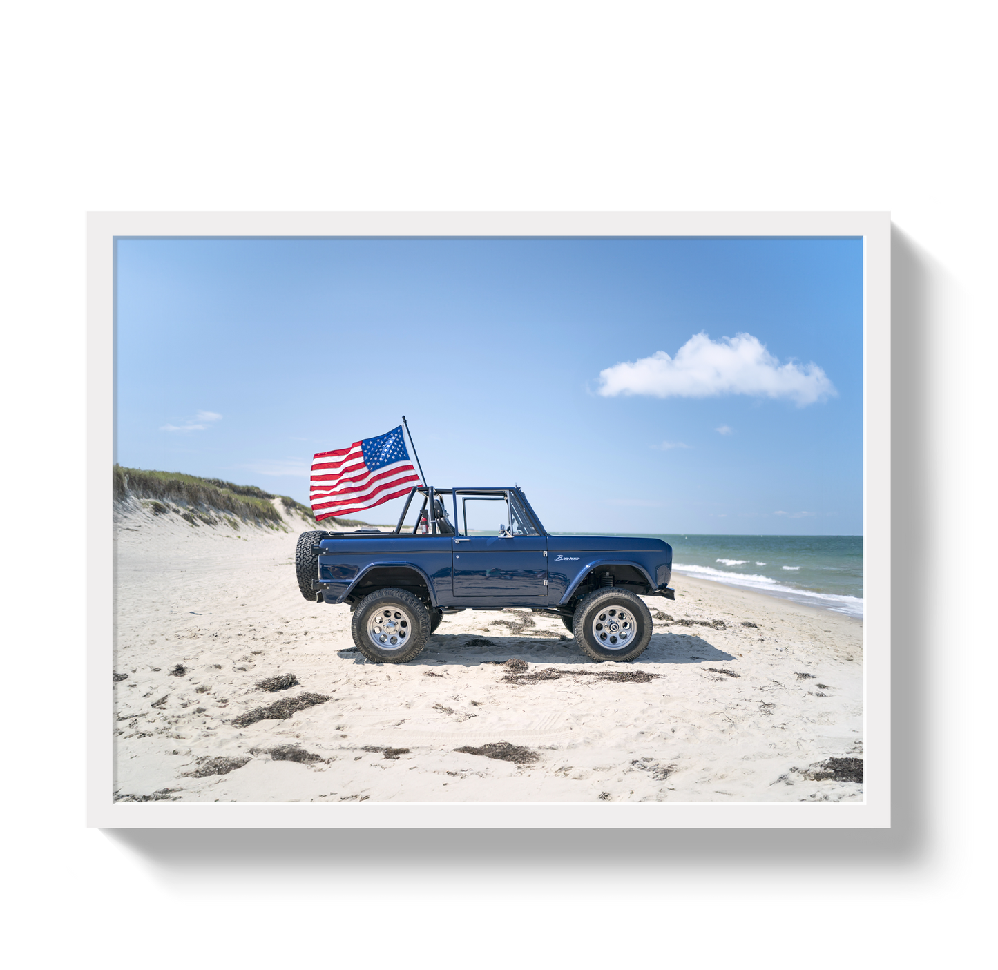 American Bronco