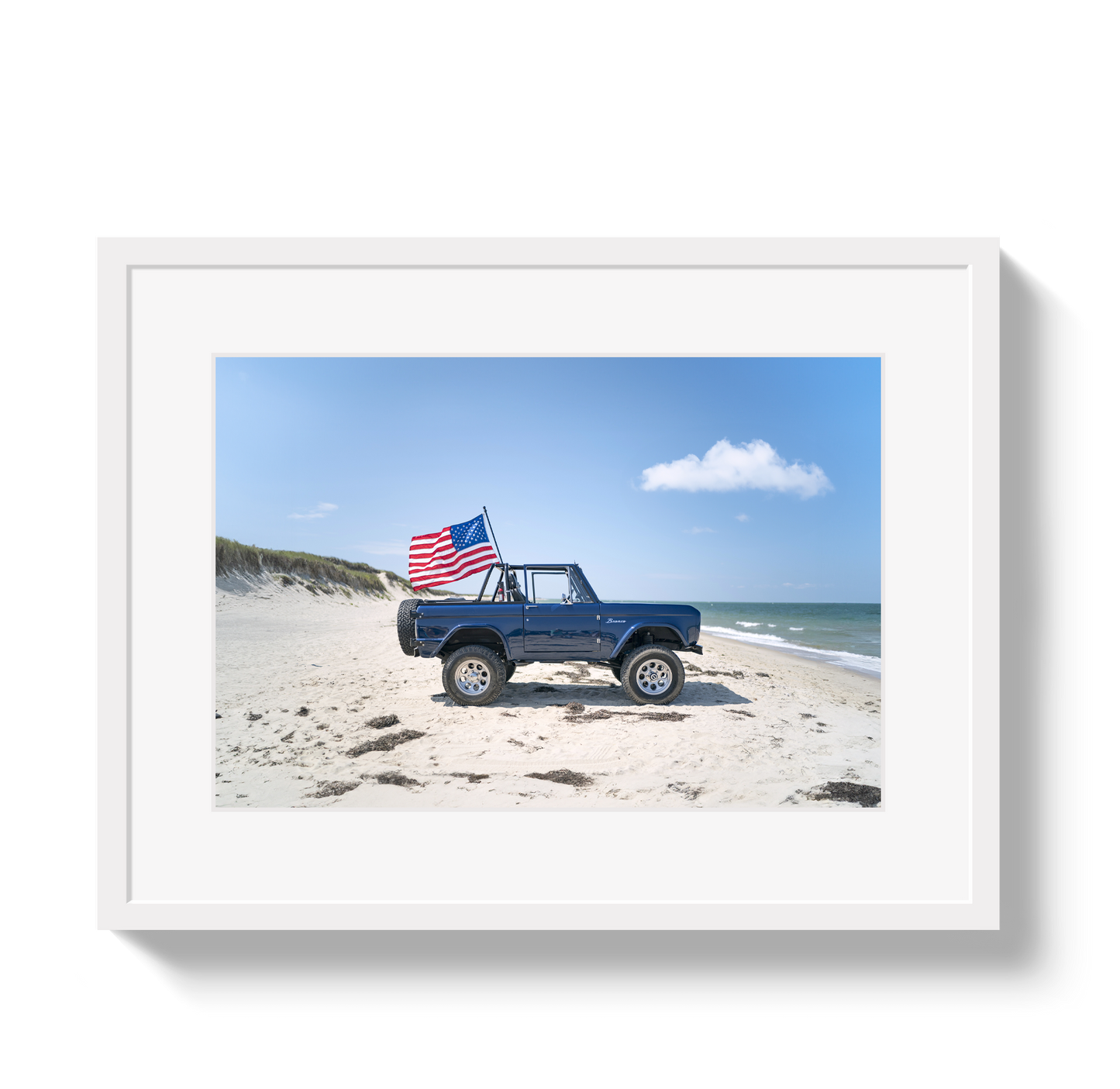 American Bronco